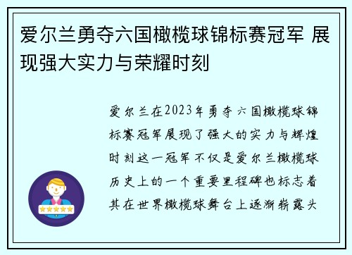 爱尔兰勇夺六国橄榄球锦标赛冠军 展现强大实力与荣耀时刻 爱尔兰勇夺六国橄榄球锦标赛冠军 展现强大实力与荣耀时刻