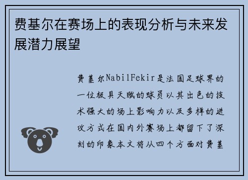 费基尔在赛场上的表现分析与未来发展潜力展望